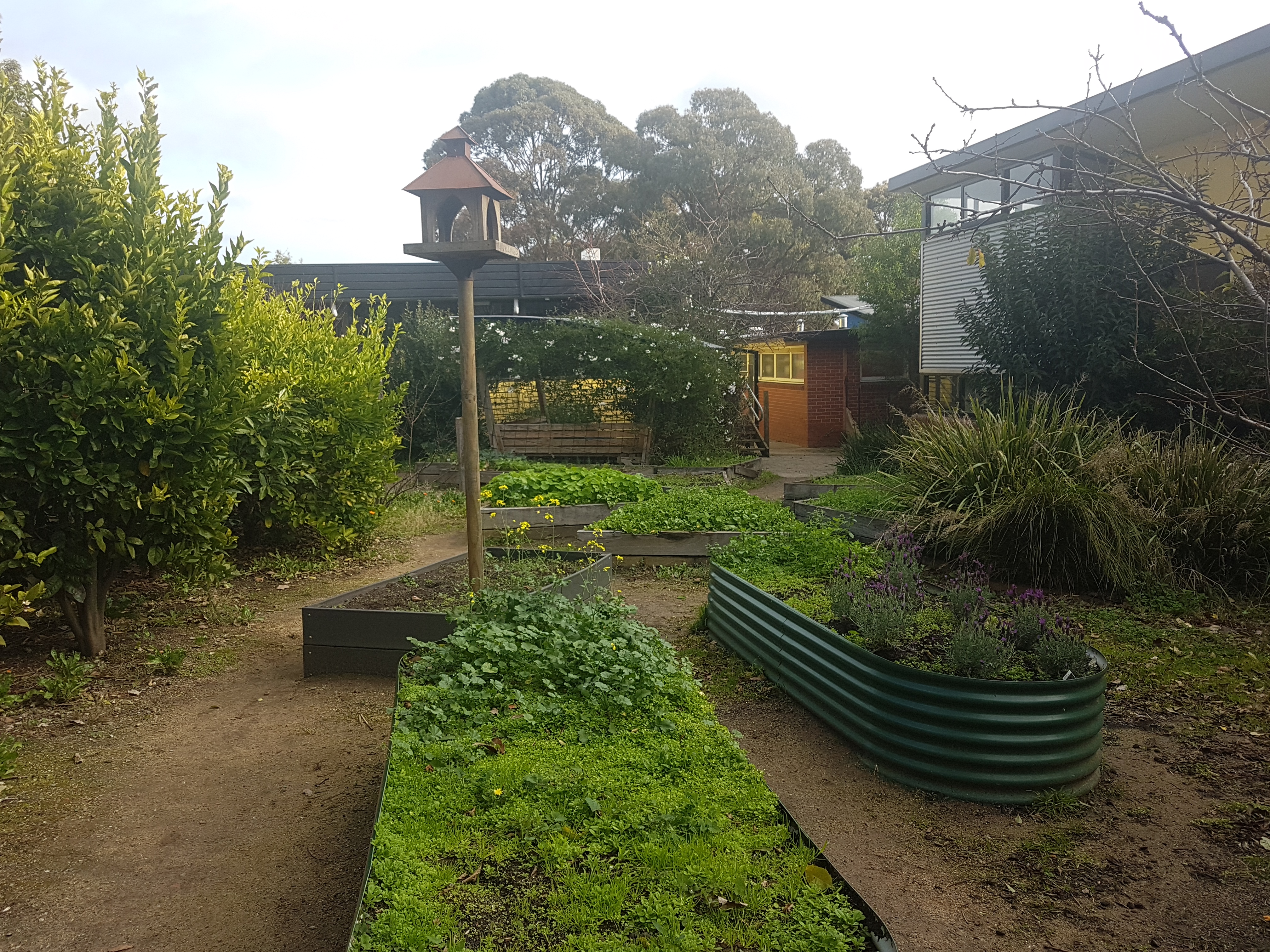 Kitchen Garden